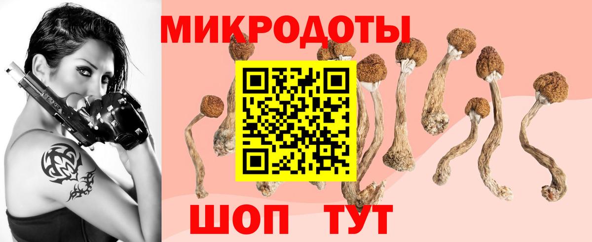 Волгоград  Псилоцибиновые грибы ЛСД  Вход с VPN 